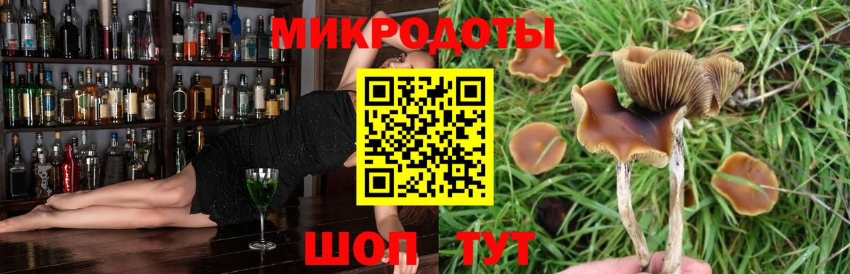 Псилоцибиновые грибы GOLDEN TEACHER Грязи