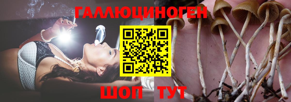 Грязи  Галлюциногенные грибы MAGIC MUSHROOMS  Вход с VPN 